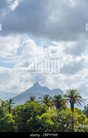 Vue du mont Warning aka Wollumbin depuis le pont sur la rivière Tweed à Murwillumbah dans le nord de la Nouvelle-Galles du Sud, Australie Banque D'Images