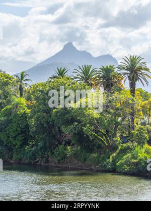 Vue du mont Warning aka Wollumbin depuis le pont sur la rivière Tweed à Murwillumbah dans le nord de la Nouvelle-Galles du Sud, Australie Banque D'Images