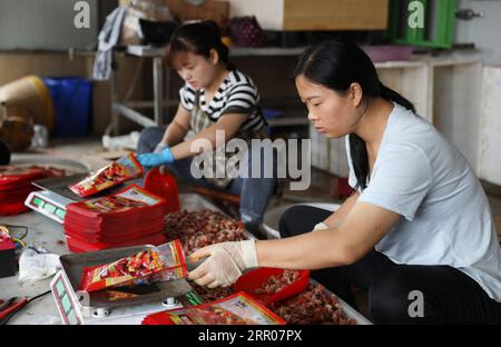 200801 -- LIANYUNGANG, 1 août 2020 Xinhua -- des travailleurs emballent des produits alimentaires vendus par des streamers vivants dans la ville de Haitou à Lianyungang, province de Jiangsu dans l'est de la Chine, le 30 juillet 2020. Après le boom des plateformes de diffusion en direct et du commerce électronique en Chine, le commerce électronique en streaming en direct a connu un développement rapide et créé de nouvelles opportunités d'emploi. Dans la ville de Haitou, plus de 3 000 personnes sont passées à la vente en direct. Ces streamers en direct travaillent souvent de nuit à l'aube pour vendre des produits marins locaux et d'autres spécialités. Dans la journée, les marchandises vendues en streaming en direct seront envoyées à leur consommation Banque D'Images