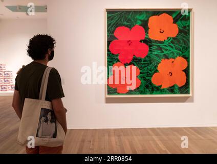 200802 -- LONDRES, 2 août 2020 -- Un visiteur voit une œuvre d'art d'Andy Warhol lors d'une exposition à la galerie d'art Tate Modern à Londres, en Grande-Bretagne, le 1 août 2020. Les galeries d'art Tate Modern, Tate Britain, Tate Liverpool et Tate St Ives ont rouvert au public. BRITAIN-LONDRES-COVID-19-TATE MODERN-GALLERIES-RÉOUVERTURE HANXYAN PUBLICATIONXNOTXINXCHN Banque D'Images