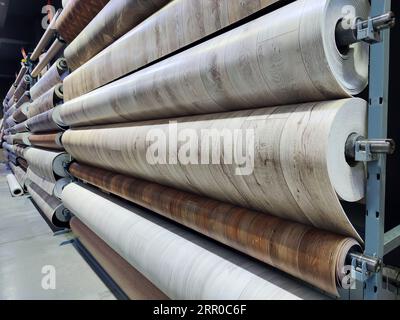 Rouleaux avec linoléum dans une vitrine. Différents types de revêtements de sol en vente au bazar. La hausse du prix du concept de matériaux de construction. Banque D'Images