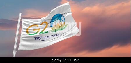 Drapeau g20 inde logo officiel du G20 indien, sommet du G20 Inde, G20 2023 Banque D'Images