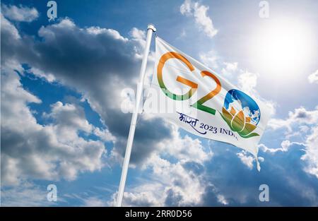 Drapeau g20 inde logo officiel du G20 indien, sommet du G20 Inde, G20 2023 Banque D'Images