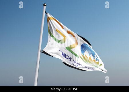 Drapeau g20 inde logo officiel du G20 indien, sommet du G20 Inde, G20 2023 Banque D'Images