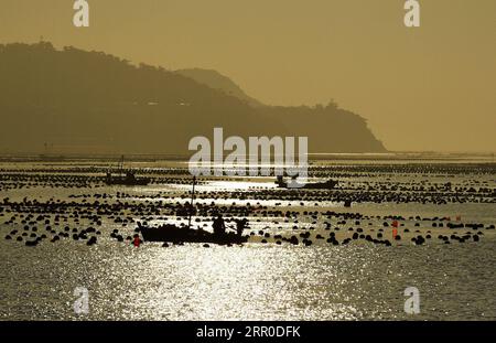 200810 -- CHANGDAO, 10 août 2020 -- des bateaux de pêche sont vus au port de l'île Tuoji à Changdao, dans la province du Shandong de l'est de la Chine, le 10 août 2020. CHINA-SHANDONG-CHANGDAO-SCENERY CN WangxKai PUBLICATIONxNOTxINxCHN Banque D'Images