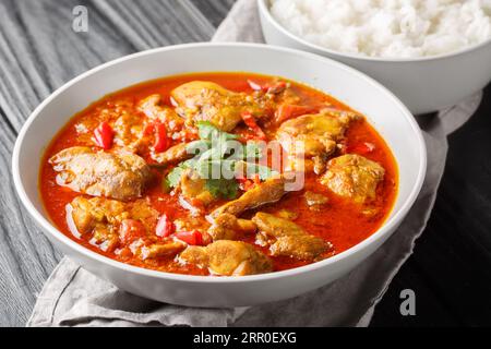 Curry de poulet birman épicé dans une sauce composée d'oignon, gingembre, citronnelle, poivre, ail et tomate gros plan dans un bol sur la table. Horizontal Banque D'Images