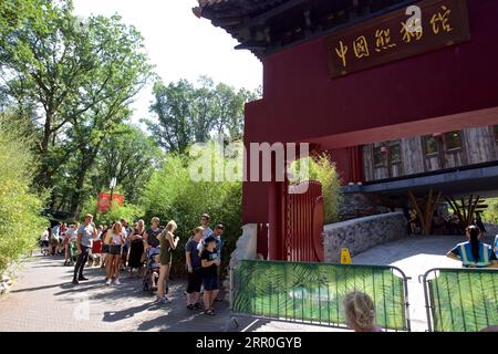 200814 -- RHENEN, 14 août 2020 Xinhua -- les visiteurs font la queue pour voir Xing ya, père du petit panda géant Fan Xing, au zoo Ouwehands à Rhenen, aux pays-Bas, le 14 août 2020. Le petit panda géant, né le 1 mai dans le zoo néerlandais Ouwehands, a été nommé Fan Xing, le zoo annoncé vendredi. Photo de Sylvia Lederer/Xinhua PAYS-BAS-RHENEN-GÉANT PANDA PUBLICATIONxNOTxINxCHN Banque D'Images