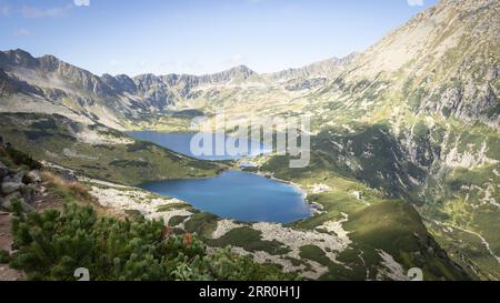 Belle vallée alpine avec des sommets de montagne, des lacs, et un peu de végétation. Pologne, Europe Banque D'Images