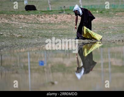 200820 -- GOLOG, le 20 août 2020 -- le villageois Cering Zhoima, qui est également employé comme préposé à la protection de l'environnement, ramasse les ordures près du village de Ghadan, dans le canton de Machali, comté de Madoi, préfecture autonome tibétaine de Golog, province du Qinghai au nord-ouest de la Chine, le 19 août 2020. En octobre 2018, un total de 1 036 résidents pauvres enregistrés ont déménagé des terres moins accueillantes du comté de Madoi à Ghadan, un village de relocalisation nouvellement construit dans la zone source du fleuve jaune. Le nouveau village dispose de meilleurs moyens de transport, ce qui permet aux villageois de trouver plus facilement un emploi ou de créer des entreprises Banque D'Images