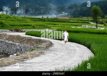 200821 -- LONGLI, 21 août 2020 -- Luo Mu est en route pour rendre visite à un patient dans le village de Cuiwei, dans le comté de Longli, préfecture autonome de Qiannan Buyi-Miao, province du Guizhou, dans le sud-ouest de la Chine, le 18 août 2020. Luo Mu, 49 ans, médecin de l'ethnie Buyi, travaille dans le village de Cuiwei, dans le comté de Longli. Diplômée d'une école de médecine en 2004, elle est revenue au village en tant que médecin. Elle a converti son propre salon en clinique avec l'équipement médical qu'elle avait acheté, pour soigner les patients du village. En 2007, Luo a été employé dans une clinique nouvellement fondée dans le village avec une population de 2 habitants Banque D'Images