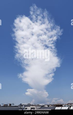 Les cumulonimbus ou cumulonimbus sont des nuages très développés verticalement, formés intérieurement par une colonne d'air chaud et humide qui s'élève sous forme de Banque D'Images
