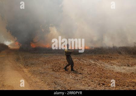 200823 -- NIR AM, 23 août 2020 -- un soldat israélien tente d'éteindre le feu dans une zone proche de la frontière entre Israël et la bande de Gaza, près du kibboutz du sud israélien de NIR Am, le 23 août 2020. Depuis août 6, Gaza a été témoin de tensions militaires avec l’armée israélienne, alors que les jeunes Palestiniens ont rétabli le lancement de ballons incendiaires vers les villes israéliennes adjacentes à la bande. En conséquence, des avions de combat israéliens ont ciblé des dizaines de sites militaires appartenant au mouvement Hamas, en réponse au lancement de ballons incendiaires. Photo de /Xinhua ISRAEL-NIR AM-FIRE GilxCohenxMagen PUBLICA Banque D'Images