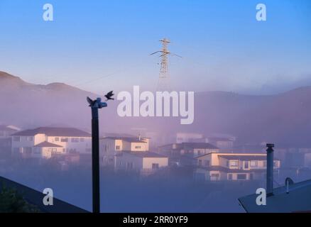 200830 -- WELLINGTON, le 30 août 2020 -- Fog se trouve au-dessus de Wellington, Nouvelle-Zélande, le 23 juin 2020. Wellington a été nommée meilleure destination de Nouvelle-Zélande dans le guide Lonely Planet, avec la ville marquée comme l'une des petites capitales les plus cool du monde. CitySketchNEW ZEALAND-WELLINGTON GuoxLei PUBLICATIONxNOTxINxCHN Banque D'Images