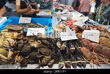 Cadix, Espagne - 03 août 2023 : marché aux poissons de Cadix. Superbe stand de poisson frais dans le marché central de Cádiz, Andalousie, Espagne. Banque D'Images