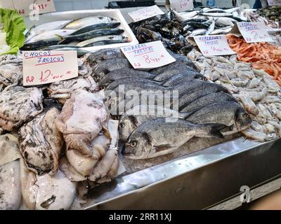 Cadix, Espagne - 03 août 2023 : marché aux poissons de Cadix. Superbe stand de poisson frais dans le marché central de Cádiz, Andalousie, Espagne. Banque D'Images