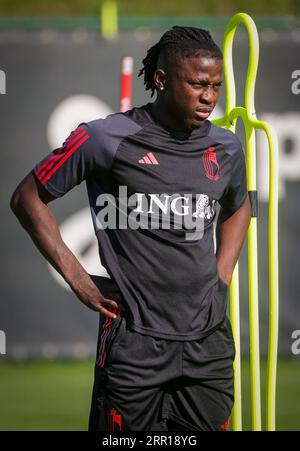 Tubize, Belgique. 06 septembre 2023. Le Belge Johan Bakayoko photographié lors d'une séance d'entraînement de l'équipe nationale belge de football Red Devils, mercredi 06 septembre 2023, au siège de la RBFA à Tubize. Les Devils affronteront l'Azerbaïdjan et l'Estonie plus tard ce mois-ci. BELGA PHOTO VIRGINIE LEFOUR crédit : Belga News Agency/Alamy Live News Banque D'Images