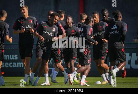 Tubize, Belgique. 06 septembre 2023. La Belge lois Openda photographiée lors d'une séance d'entraînement de l'équipe nationale belge de football Red Devils, mercredi 06 septembre 2023, au siège de la Royal Belgian football Association RBFA à Tubize. Les Devils affronteront l'Azerbaïdjan et l'Estonie plus tard ce mois-ci. BELGA PHOTO VIRGINIE LEFOUR crédit : Belga News Agency/Alamy Live News Banque D'Images