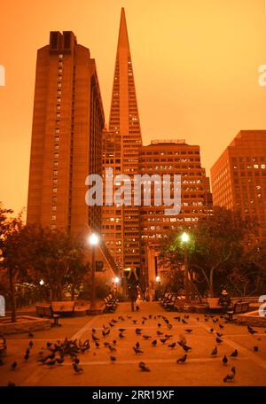 200910 -- SAN FRANCISCO, 10 septembre 2020 -- la photo prise le 9 septembre 2020 montre la vue de la rue à midi à San Francisco, aux États-Unis. San Francisco était encore aussi sombre que la nuit à midi mercredi en raison du feu de forêt. Le feu de forêt du nord de la Californie brûle depuis plus de trois semaines, forçant des milliers de personnes à quitter leurs maisons et menaçant d'autres structures. U.S.-SAN FRANCISCO-WILDFIRE-LIFE WuxXiaoling PUBLICATIONxNOTxINxCHN Banque D'Images