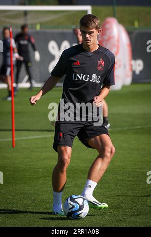 Tubize, Belgique. 06 septembre 2023. Le Belge Charles de Ketelaere photographié lors d'une séance d'entraînement de l'équipe nationale belge de football Red Devils, mercredi 06 septembre 2023, au siège de la Royal Belgian football Association RBFA à Tubize. Les Devils affronteront l'Azerbaïdjan et l'Estonie plus tard ce mois-ci. BELGA PHOTO VIRGINIE LEFOUR crédit : Belga News Agency/Alamy Live News Banque D'Images