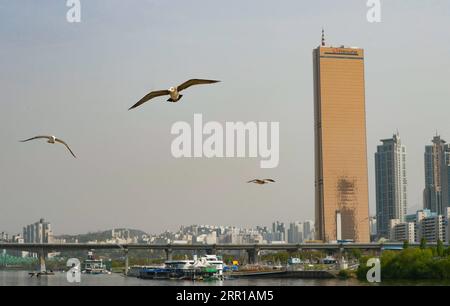 200911 -- SÉOUL, 11 septembre 2020 -- une photo prise le 22 avril 2019 montre des oiseaux volant au-dessus de la rivière Han près du bâtiment 63 à Séoul, en Corée du Sud. Séoul, capitale et plus grande ville de Corée du Sud, est une métropole dynamique mêlant l'ancien et le moderne. CitySketchSOUTH CORÉE-SÉOUL WangxJingqiang PUBLICATIONxNOTxINxCHN Banque D'Images