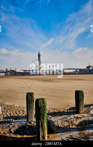 Groyne en bois sur la plage vide de Blackpool avec Tour et grande roue en arrière-plan Banque D'Images