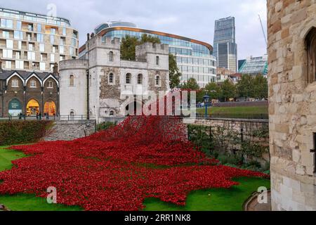 LONDRES, GRANDE-BRETAGNE - 21 SEPTEMBRE 2014 : il s'agit d'une installation de coquelicots rouges en céramique à la mémoire de ceux tués dans la première Guerre mondiale. Banque D'Images