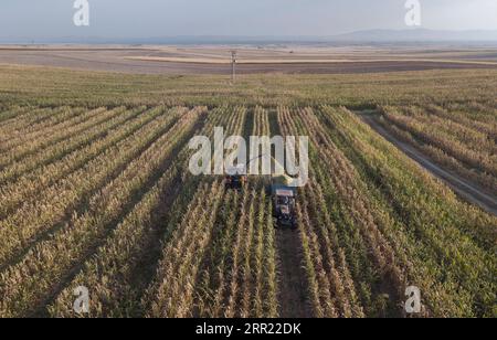 200929 -- ESKISEHIR TURQUIE, 29 septembre 2020 -- une photo aérienne prise le 27 septembre 2020 montre des agriculteurs récoltant un champ de maïs à Eskisehir, en Turquie. La famille Gecer, qui gagne sa vie grâce à la production de betteraves sucrières depuis des années en Anatolie centrale, en Turquie, est très optimiste quant à la récolte de cette année malgré plusieurs catastrophes naturelles qui ont frappé la région pendant la période de semis. Photo de /Xinhua TO GO WITH Feature : betterave sucrière turque, récolte de maïs prometteuse malgré les catastrophes naturelles TURQUIE-ESKISEHIR-BETTERAVE SUCRIÈRE-RÉCOLTE DE MAÏS OsmanxOrsal PUBLICATIONxNOTxINxCHN Banque D'Images