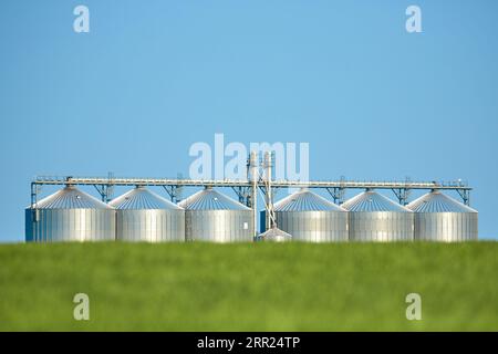 Silos agricoles - extérieur du bâtiment, stockage et séchage des grains, blé, maïs, soja, tournesol contre le ciel bleu avec des champs de blé Banque D'Images