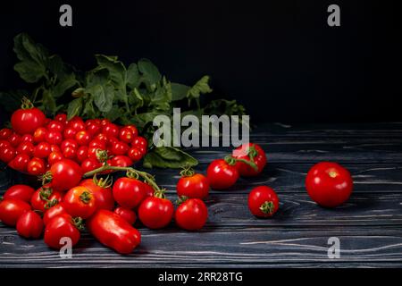 Diverses variétés de tomates dans et devant le pot noir sur bois, feuilles de tomate, salle de copie, sombre Banque D'Images