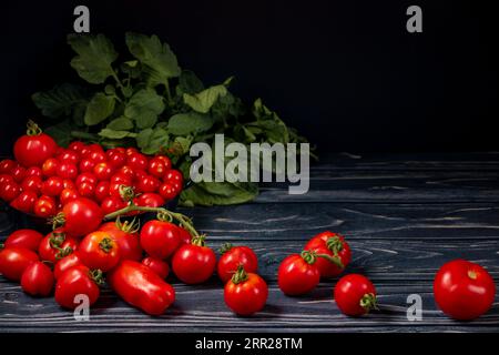 Diverses variétés de tomates dans et devant le pot noir sur bois, feuilles de tomate, salle de copie, sombre Banque D'Images