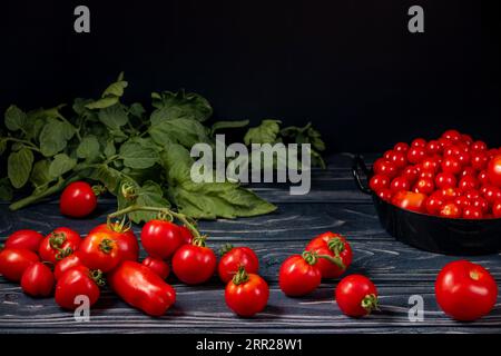 Diverses variétés de tomates dans et devant le pot noir sur bois, feuilles de tomate, salle de copie, sombre Banque D'Images