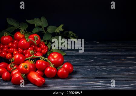 Diverses variétés de tomates dans et devant le pot noir sur bois, feuilles de tomate, salle de copie, sombre Banque D'Images