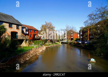 Maisons à côté de la Tamise sur Heron Island, Caversham, Berkshire, Angleterre Banque D'Images