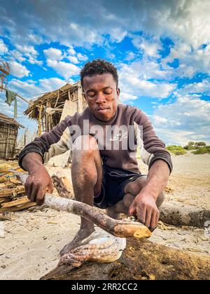 Madagascar, préparation du poulpe Banque D'Images