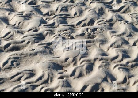 Marques d'ondulation dans les vasières au large de l'île de Minsener OOG, Parc national de la mer des Wadden, Basse-Saxe, Allemagne Banque D'Images