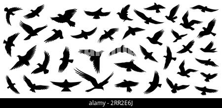 Ensemble de silhouettes d'oiseaux volants dans un style plat sur un fond blanc. Illustration vectorielle Illustration de Vecteur