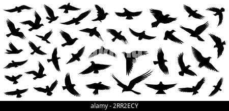 Ensemble de silhouettes d'oiseaux volants dans un style plat sur un fond blanc. Illustration vectorielle Illustration de Vecteur