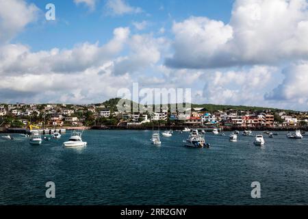 Puerto Baquerizo Moreno, San Cristobal Island, îles Galapagos, Equateur Banque D'Images