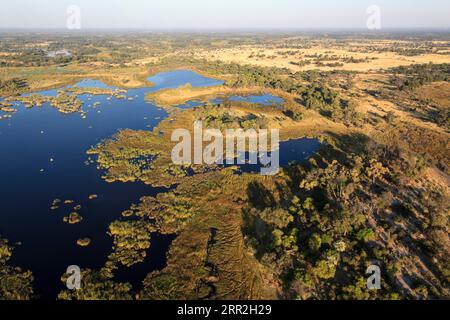 Vue aérienne de la rivière, paysage, Okavango Delta, Botswana, District du Nord-Ouest Banque D'Images