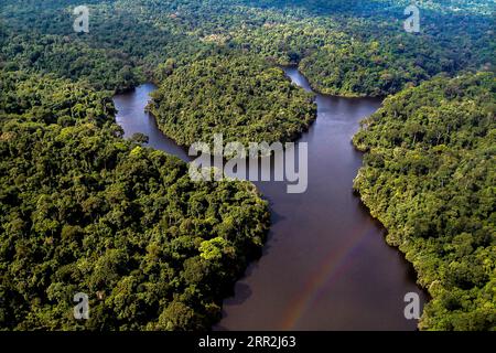 201013 -- PÉKIN, 13 octobre 2020 -- une photo prise le 28 août 2016 montre des paysages de la Réserve de faune du Dja au Cameroun. Photo de /Xinhua AFRIQUE-PAYSAGE NATUREL-CULTUREL PERSONNALISÉ JeanxPierrexKepseu PUBLICATIONxNOTxINxCHN Banque D'Images