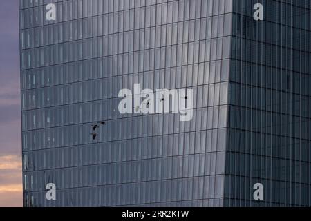 Un troupeau d'oies égyptiennes survole la façade de verre de la Banque centrale européenne (BCE) à Francfort-sur-le-main, Osthafen, Francfort-sur-le-main, Hesse Banque D'Images