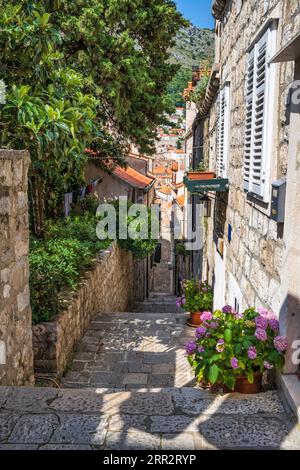 Pittoresque ruelle étroite menant des murs de la ville dans la vieille ville fortifiée de Dubrovnik sur la côte dalmate de Croatie Banque D'Images