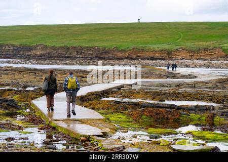 Les visiteurs marchent sur la chaussée des marées jusqu'à Brough de l'île Birsay dans le West Mainland, îles Orcades, Écosse, Royaume-Uni. Banque D'Images