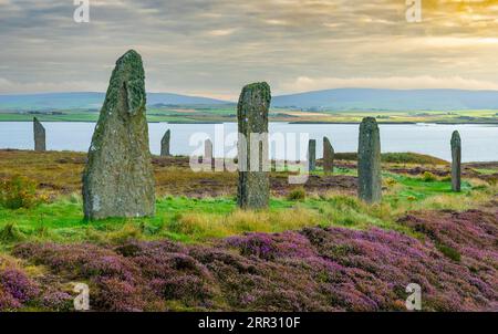 Lumière matinale à Ring of Brodgar henge néolithique et cercle de pierre à West Mainland, îles Orcades, Écosse, Royaume-Uni. Banque D'Images