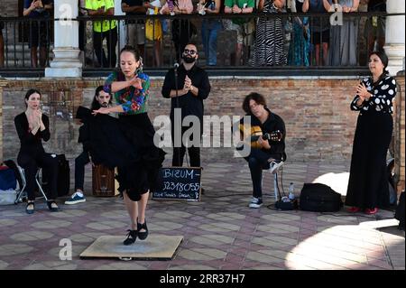 Danse flamenco à la Plaza de Espana à Séville. Banque D'Images