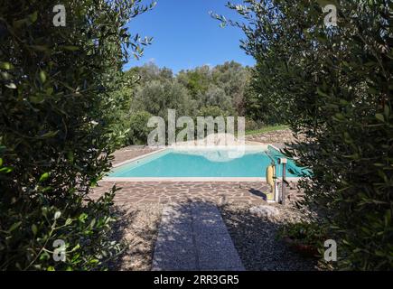 Une piscine sur la colline de Montemassi entourée de cyprès et de lauriers roses dans la province de Grosseto. Italie Banque D'Images