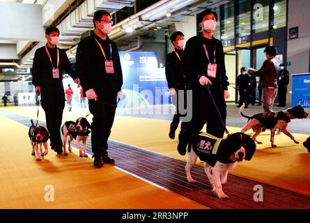 201108 -- SHANGHAI, le 8 novembre 2020 -- des chiens policiers patrouillent le lieu de la troisième China International Import Expo CIIE à Shanghai, dans l'est de la Chine, le 4 novembre 2020. Les membres du personnel de différentes professions s'en tiennent à leurs postes lors de la 3e CIIE pour assurer le bon déroulement de tous les liens. CHINA-SHANGHAI-CIIE-STAFF MEMBRES CN ZHANGXYUWEI PUBLICATIONXNOTXINXCHN Banque D'Images