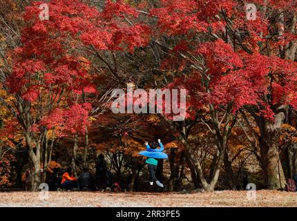 201109 -- BEIJING, le 9 novembre 2020 -- Un garçon joue sous des érables au parc national Naejangsan dans la ville de Jeongeup, dans la province de North Jeolla, Corée du Sud, le 8 novembre 2020. PHOTOS XINHUA DU JOUR WangxJingqiang PUBLICATIONxNOTxINxCHN Banque D'Images