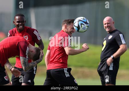 Cardiff, Royaume-Uni. 06 septembre 2023. Connor Roberts, du pays de Galles, réagit et rit après que Joe Rodon, du pays de Galles (l), ait pris un petit coup lors de l’entraînement de l’équipe de football du pays de Galles à Hensol, Vale of Glamorgan, dans le sud du pays de Galles, le mercredi 6 septembre 2023. photo par Andrew Orchard/Andrew Orchard photographie sportive/Alamy Live News crédit : Andrew Orchard photographie sportive/Alamy Live News Banque D'Images