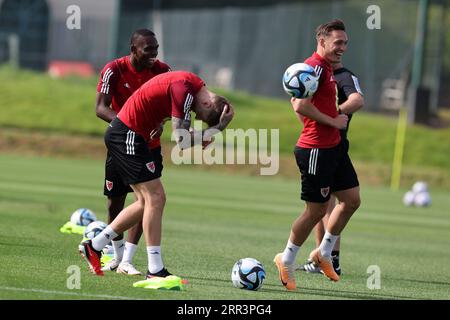 Cardiff, Royaume-Uni. 06 septembre 2023. Connor Roberts du pays de Galles (à droite) réagit et rit après que Joe Rodon du pays de Galles (à gauche) ait pris un petit coup lors de l'entraînement de l'équipe de football du pays de Galles à Hensol, Vale of Glamorgan, dans le sud du pays de Galles, le mercredi 6 septembre 2023. photo par Andrew Orchard/Andrew Orchard photographie sportive/Alamy Live News crédit : Andrew Orchard photographie sportive/Alamy Live News Banque D'Images